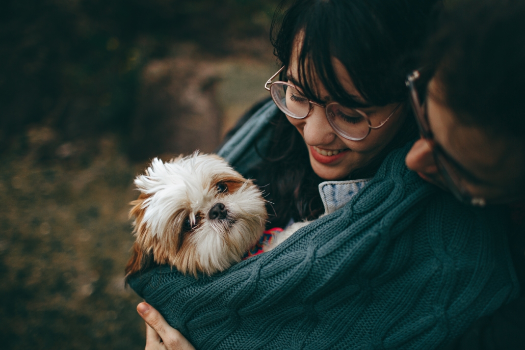 Pet Business Start-Up